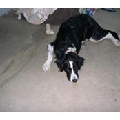 Paula Decker's photo