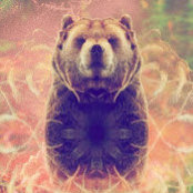 Heir LLCs foto