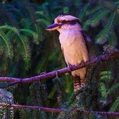 Bryan Rau's photo