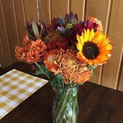 Gerri Pfeifer's photo