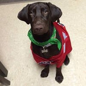 Lindsay Stumpff's photo