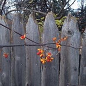 Janice Stockman's photo