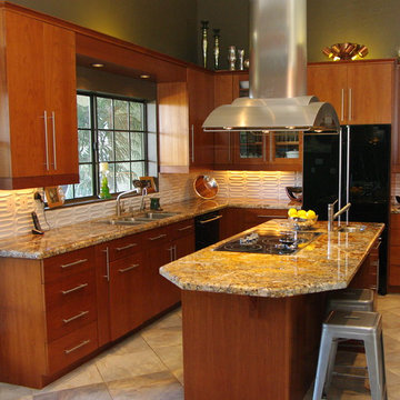 Dow Rivera Contemporary Kitchen Remodel
