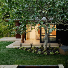 Exterior Ideas
