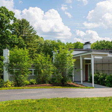 Mid-Century Modern Landscape
