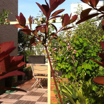 Aménagement paysager d'une terrasse à Paris...