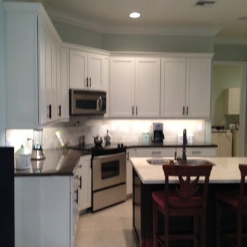 Linda's Kitchen Recolor Modern Contemporary Dover white Shaker style