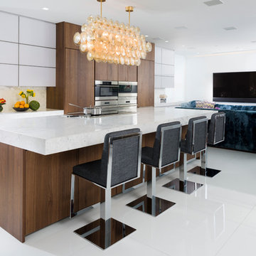 Miami Beach Penthouse