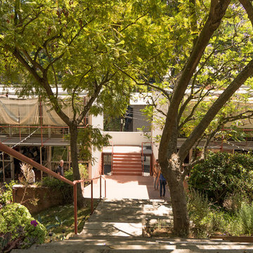 Willow Glen