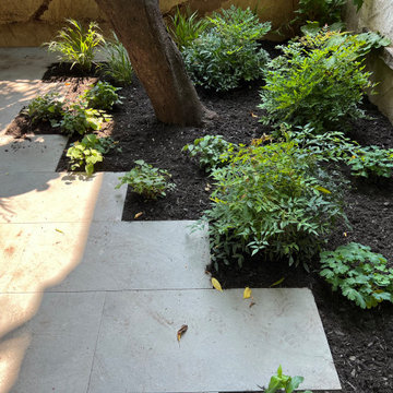 Modern Urban Shade Garden