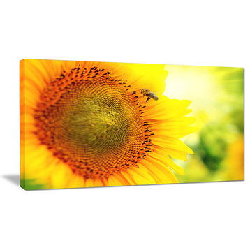 Sunflower Blooming on Field, Large Animal Canvas Art Print, 32"x16"