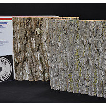 bark siding