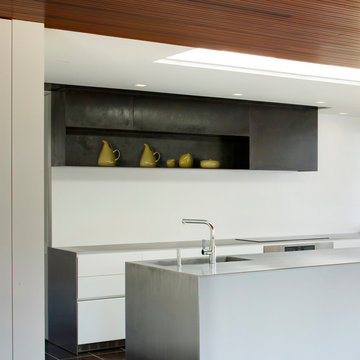 Neutra Glen Residence