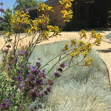 Redwood Garden & Lawn Replacement