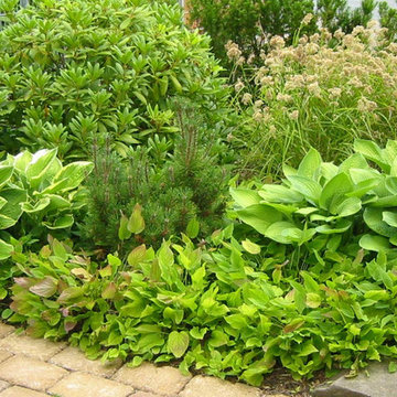 Gartengestaltung