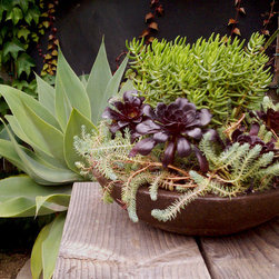Succulent Containers - Outdoor Pots And Planters