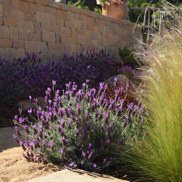 Mediterranean Backyard Transformation - Tiburon, CA