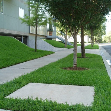 Eco Friendly Lawn & Landscapes