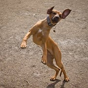 Amelia Birch's photo
