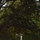 Easton Richmond