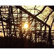 Sandi Schaaf's photo