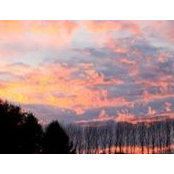 Maegan Hicks's photo