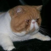 Dawn Schembri's photo