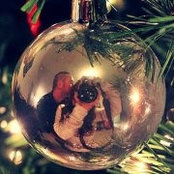 Katelyn Hatton's photo