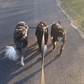 Renata Pytak's photo