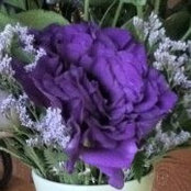 Nancy Tessmer's photo
