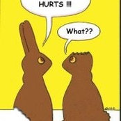 Judy Svec's photo