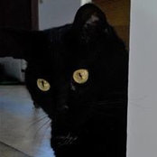 Ruth Zeck's photo
