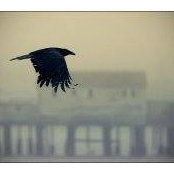 Paul Field's photo