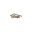 Village Carpet and Tiles, INC