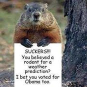 Terry Wilson's photo