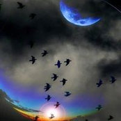 Laura Bosco's photo