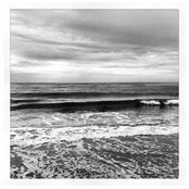 Josie's photo