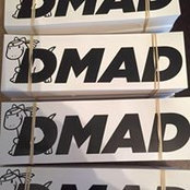 Daniel Madland's photo