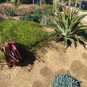 Bermed front yard
