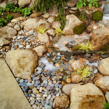 Poolside Stream