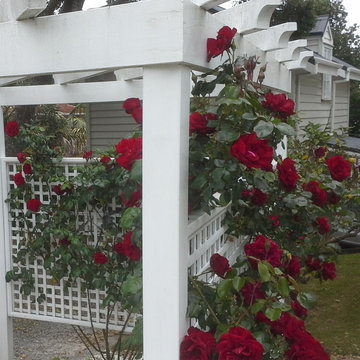 Kelsey's General Store