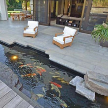 aquariam