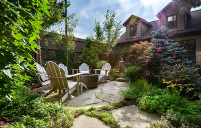 A Lush Backyard for a Plant Collector