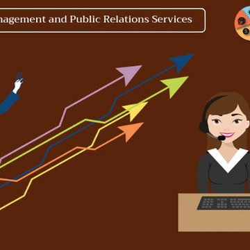 Consulting, Management and Public Relations Services