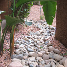 Landscape Ideas