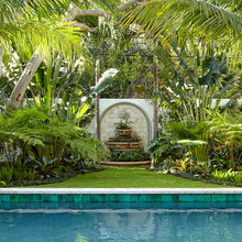 Backyard Design