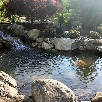 Water Features