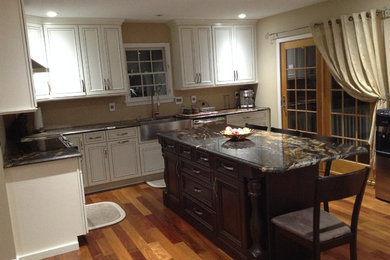 Inspiration for a kitchen remodel in Philadelphia