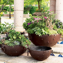 Outdoor Pots
