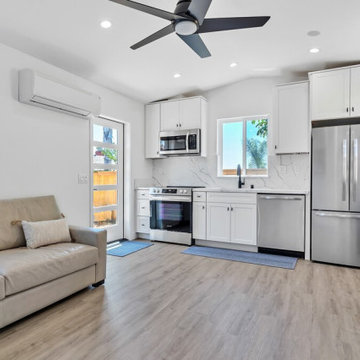 1 BR Under 500 sqft ADU in Carlsbad Kitchen Living Room Open Concept